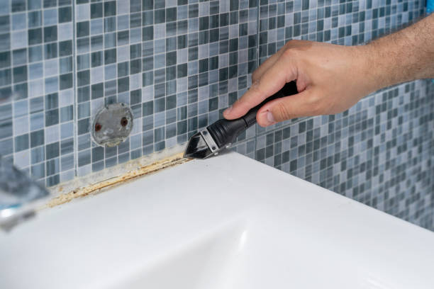 Best Basement Mold Remediation in Cleveland, OK