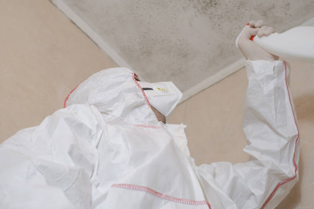 Reliable Cleveland, OK Mold Remediation Solutions