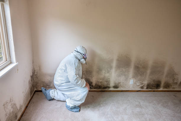 Cleveland, OK Mold Remediation Company